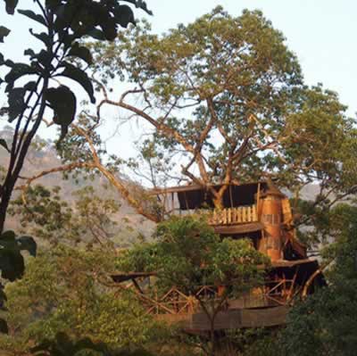 Green Magic Treehouses (Индия): построен на деревьях на высоте 90 футов