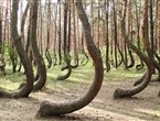 Кривой Лес, Польша