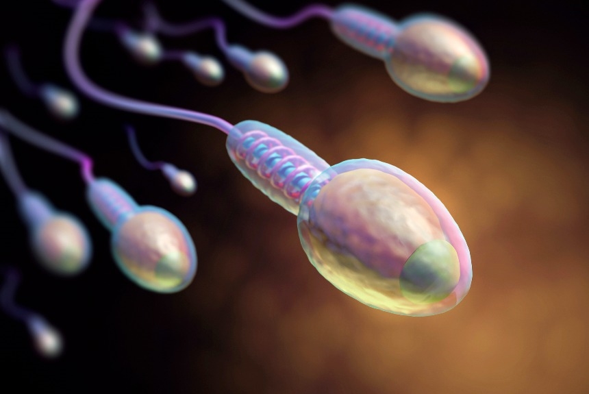 Чем полезна сперма: 10 свойств