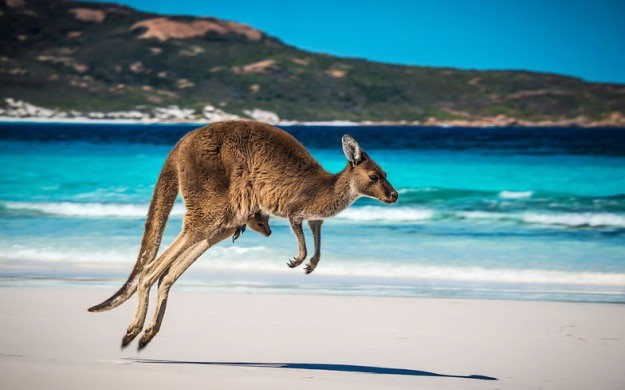 Австралийские пляжи
