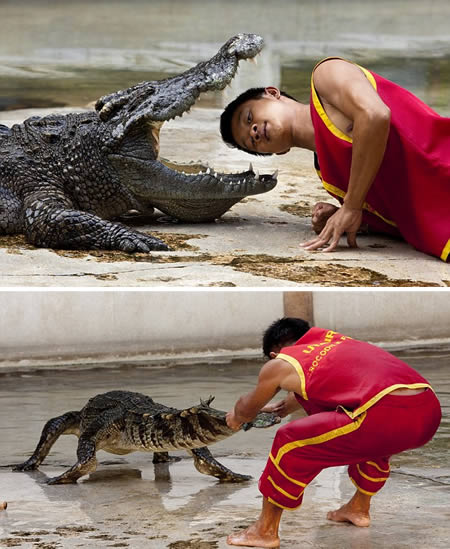 Борец с крокодилами