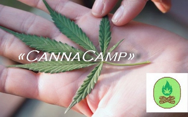 Открывается летний лагерь «CannaCamp» для любителей марихуаны