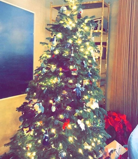 рождественские елки звезд 2016